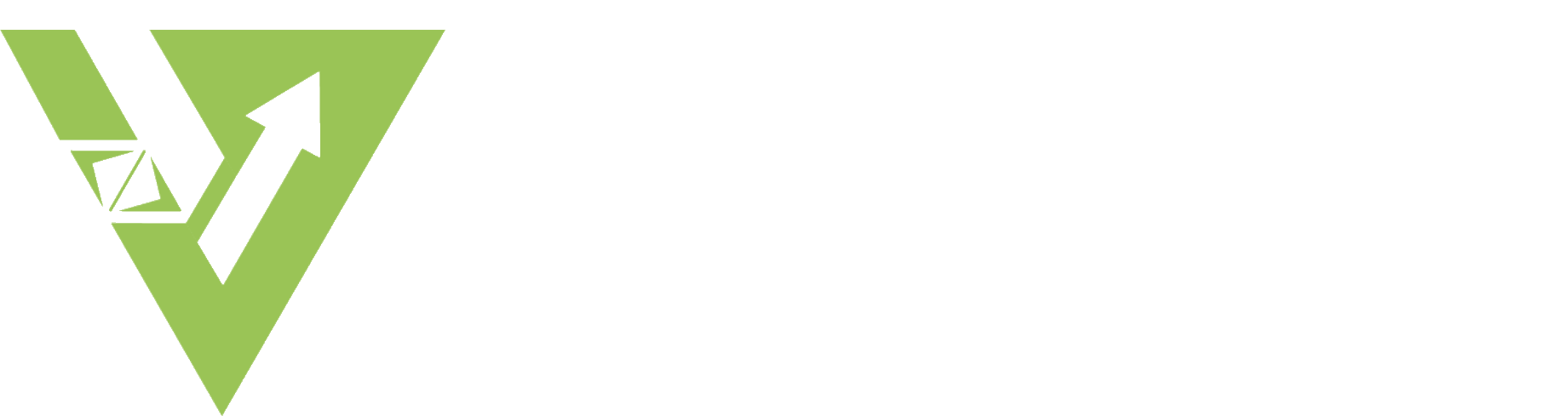 Vetrik — Turning vision to mission